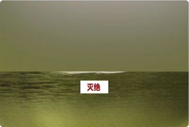 Snipaste_2022-07-22_13-54-47.png